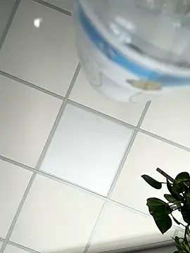 tattooed test online show from 10.20.25