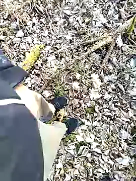 Boring one online show from 02.03.25