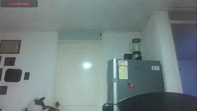 Snapshot of SexDiffrent chatting on 11.21.25 SexDiffrent online show from 11.21.25