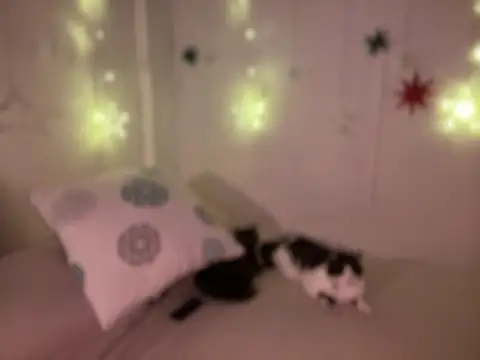 Im sophiie online show from 12.19.24