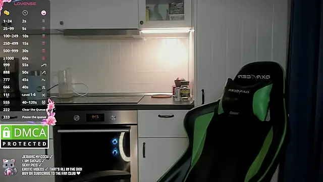 Snapshot of Lee_Loo chatting on 01.27.25 Lee Loo online show from 01.27.25