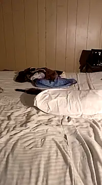 Jasmine FullsShine online show from 03.08.25