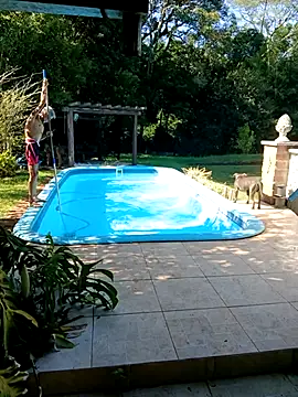 Snapshot of dutra498 chatting on 02.03.26 dutra498 online show from 02.03.26