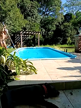 Snapshot of dutra498 chatting on 03.02.26 dutra498 online show from 03.02.26