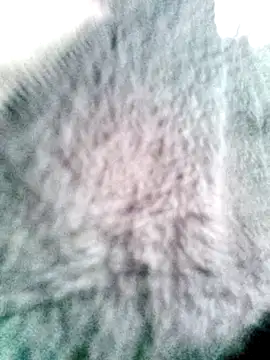 Snapshot of __valentina18 chatting on 03.20.25   valentina18 online show from 03.20.25