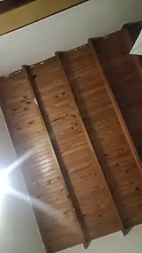 Snapshot of ZaraHoney chatting on 10.28.25 ZaraHoney online show from 10.28.25