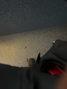 Snapshot of angelitasexy81 chatting on 12.15.25 angelitasexy81 online show from 12.15.25