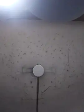 Snapshot of marie12345679 chatting on 02.26.26 marie12345679 online show from 02.26.26