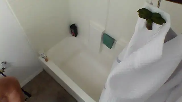 Snapshot of Yankeedave420 chatting on 01.27.25 Yankeedave420 online show from 01.27.25