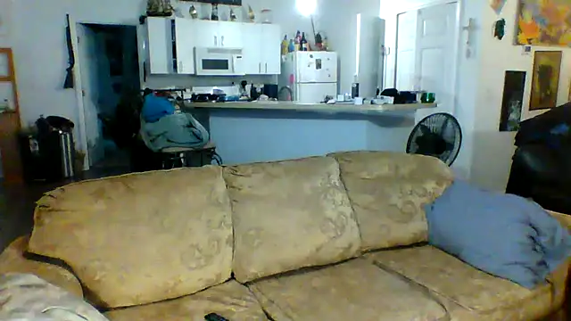 Snapshot of Yankeedave420 chatting on 01.29.25 Yankeedave420 online show from 01.29.25