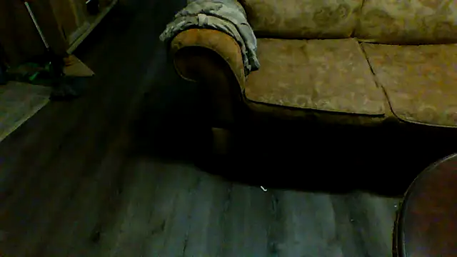 Snapshot of Yankeedave420 chatting on 01.29.25 Yankeedave420 online show from 01.29.25