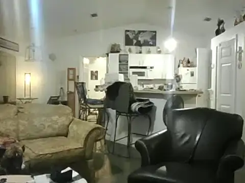 Snapshot of Yankeedave420 chatting on 02.17.25 Yankeedave420 online show from 02.17.25