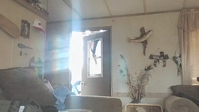 Snapshot of Yankeedave420 chatting on 11.19.25 Yankeedave420 online show from 11.19.25