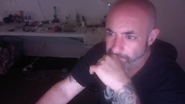 palidin1 online show from 07.06.26
