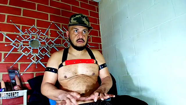 the master foal  online show from 11.19.25