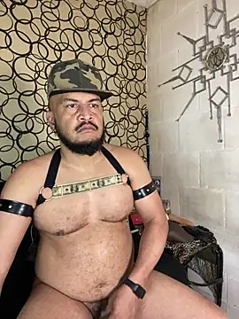 the master foal  online show from 03.19.26