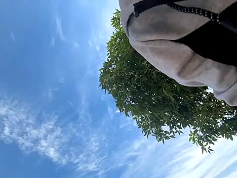 Snapshot of kingdennis6666 chatting on 09.17.25 kingdennis6666 online show from 09.17.25