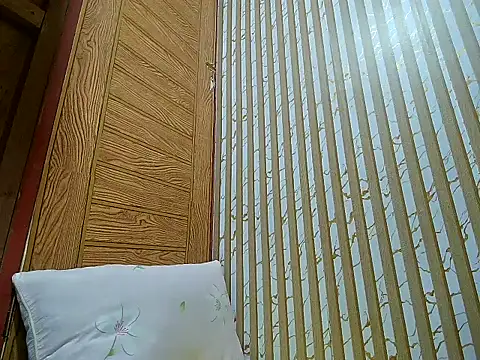 Snapshot of LalaiAsian chatting on 12.13.25 LalaiAsian online show from 12.13.25