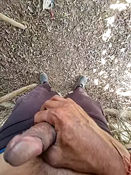 breejs online show from 11.15.25