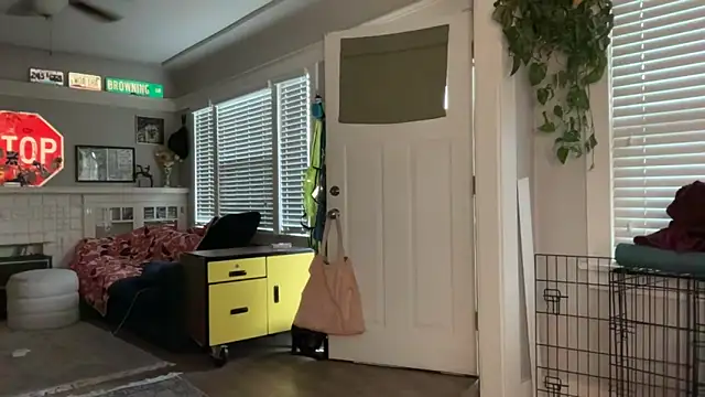 dreamyriri online show from 03.01.26