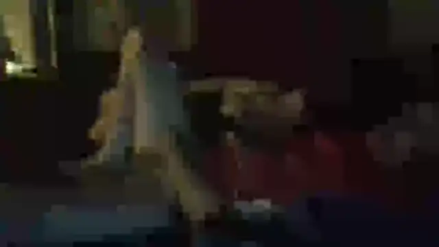 Snapshot of Wyley@xh chatting on 11.11.25 Wyleyxh online show from 11.11.25