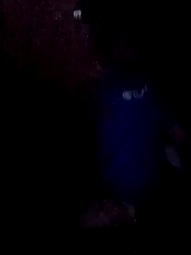 Snapshot of Wyley@xh chatting on 11.30.25 Wyleyxh online show from 11.30.25