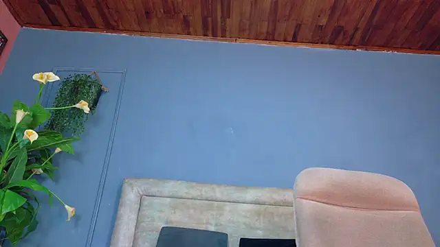 nicol snow online show from 04.04.26