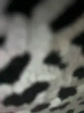 Snapshot of Sarita-candy chatting on 01.31.25 Sarita-candy online show from 01.31.25