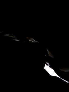 Snapshot of 74bob chatting on 09.21.25 74bob online show from 09.21.25