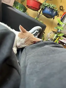 Snapshot of Lilmarieee chatting on 02.24.25 Lilmarieee online show from 02.24.25