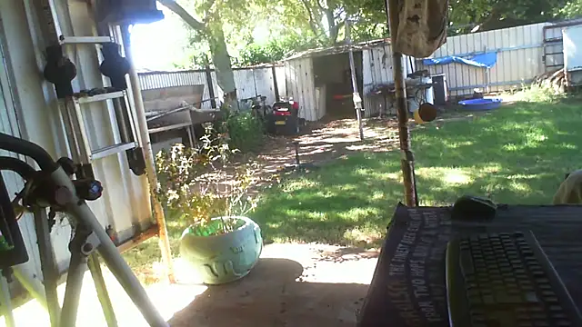 herbie010666 online show from 04.14.26