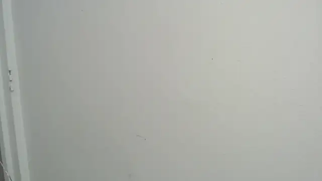 Snapshot of amy_le01 chatting on 02.18.25 amy le01 online show from 02.18.25