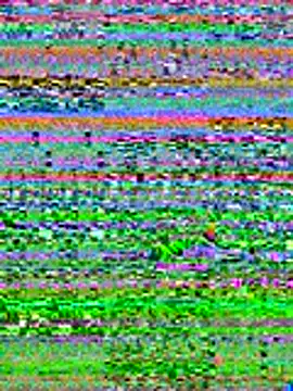 mrwilly7743 online show from 11.14.25