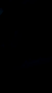 Snapshot of DauergeilMD chatting on 01.25.25 DauergeilMD online show from 01.25.25