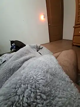 Calamaco07 online show from 11.28.25