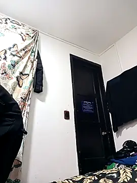 stifen  online show from 12.05.25