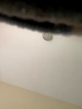 Snapshot of Iced_cloudz chatting on 12.14.25 Iced cloudz online show from 12.14.25