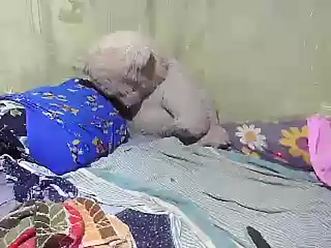 Alora-shine online show from 02.18.25