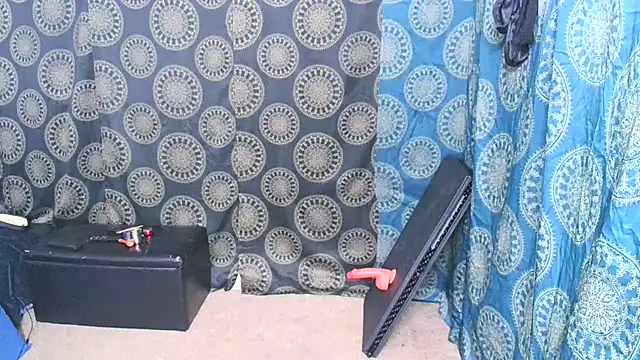 Snapshot of LunaRai chatting on 01.26.25 LunaRai online show from 01.26.25