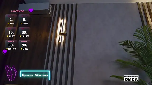 Snapshot of Holl1Would chatting on 02.02.25 Holl1Would online show from 02.02.25