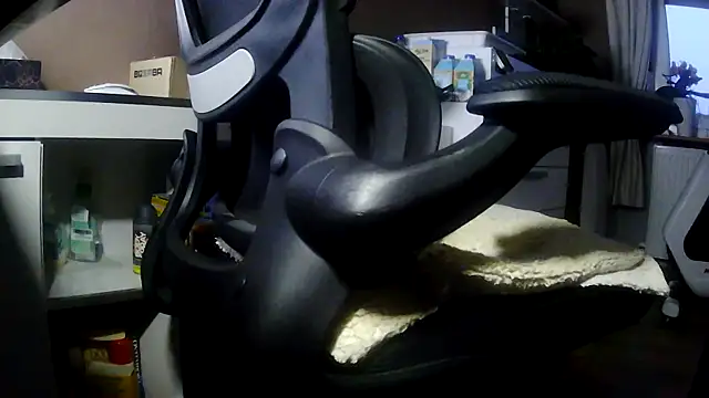 suedel65 online show from 02.20.26