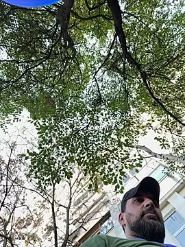 Snapshot of TigerOne19 chatting on 10.29.25 TigerOne19 online show from 10.29.25