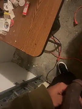 dingoding online show from 03.19.25