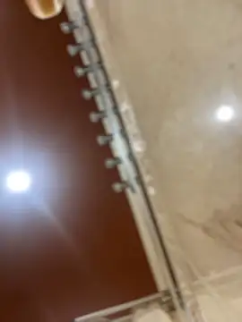 dingoding online show from 03.21.25