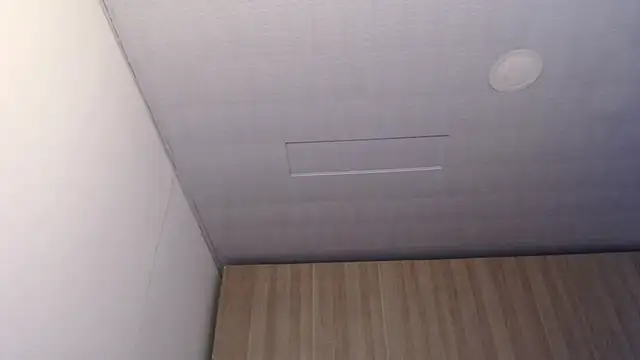 Selene93 online show from 12.01.25