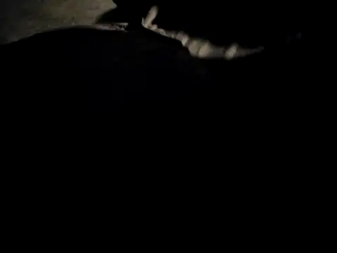 Midwest-exhibistionist online show from 02.22.26