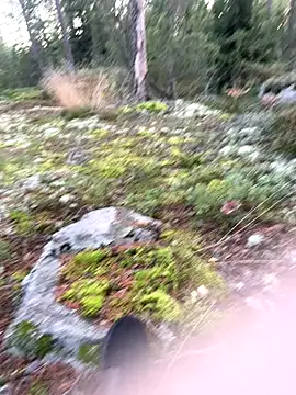 Andreashow online show from 09.22.25