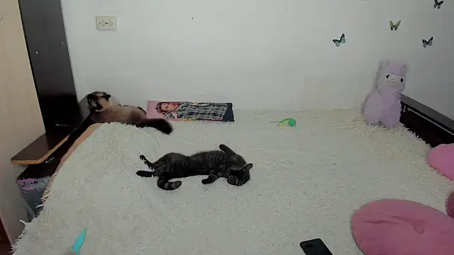 NataliEvans online show from 06.18.26