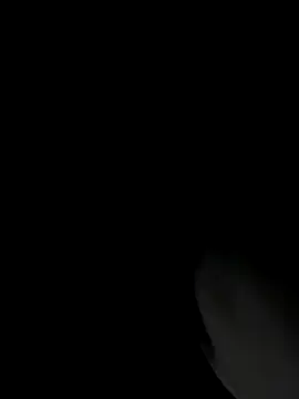 RomaLovesFamily online show from 11.16.25