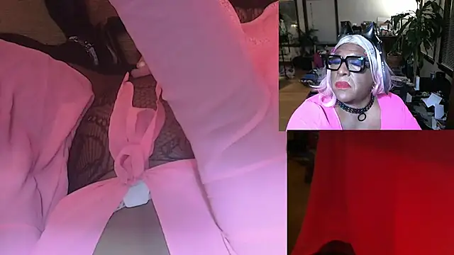 Gray-Platinum-Orchid online show from 01.01.25